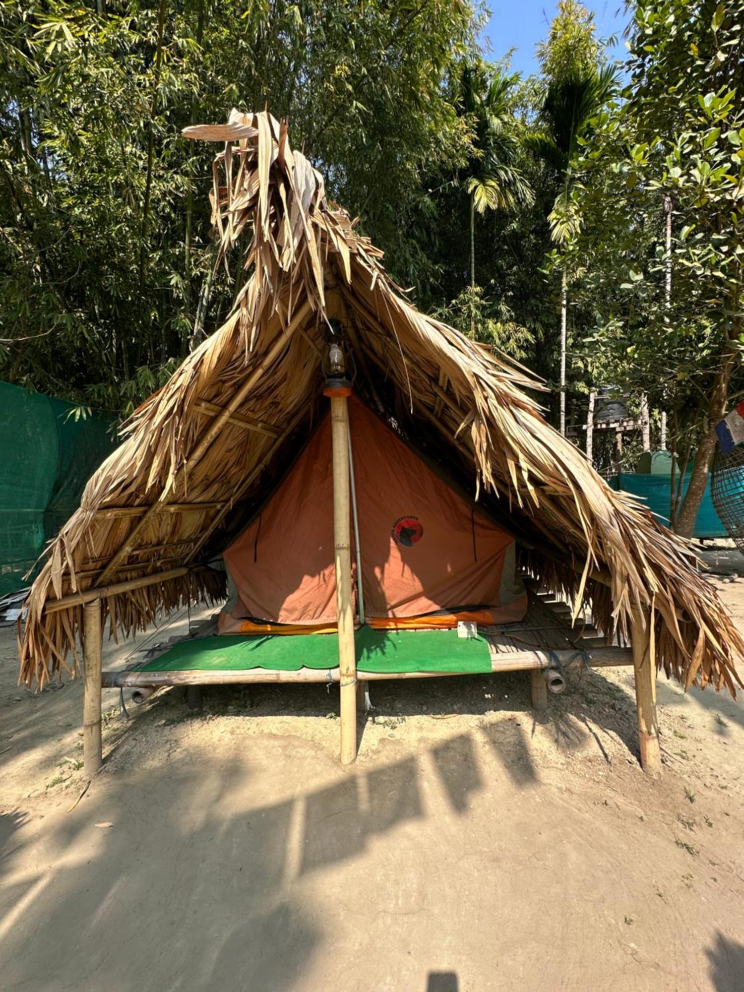Hollong Eco Camp