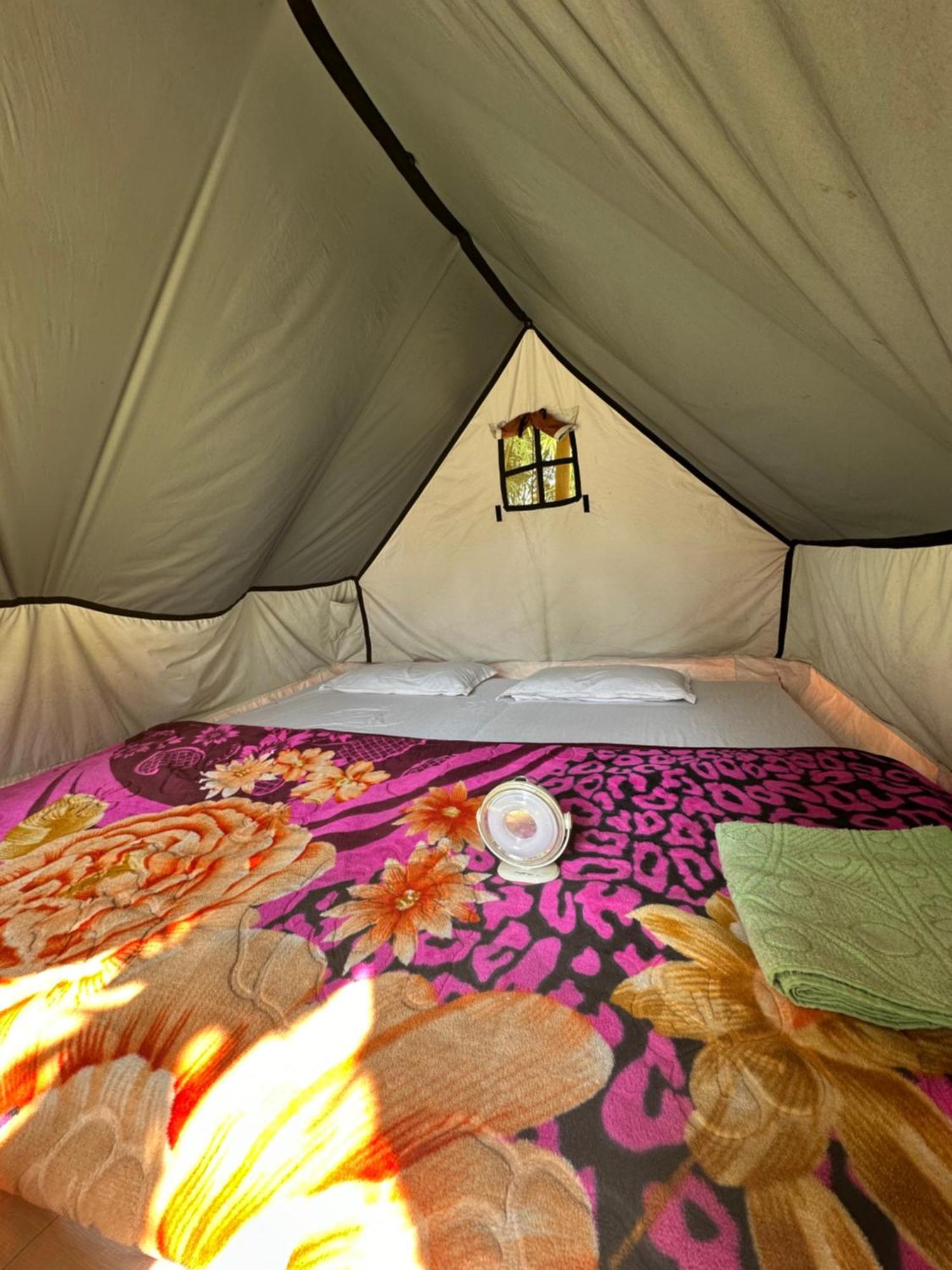 Hollong Eco Camp * Kaziranga