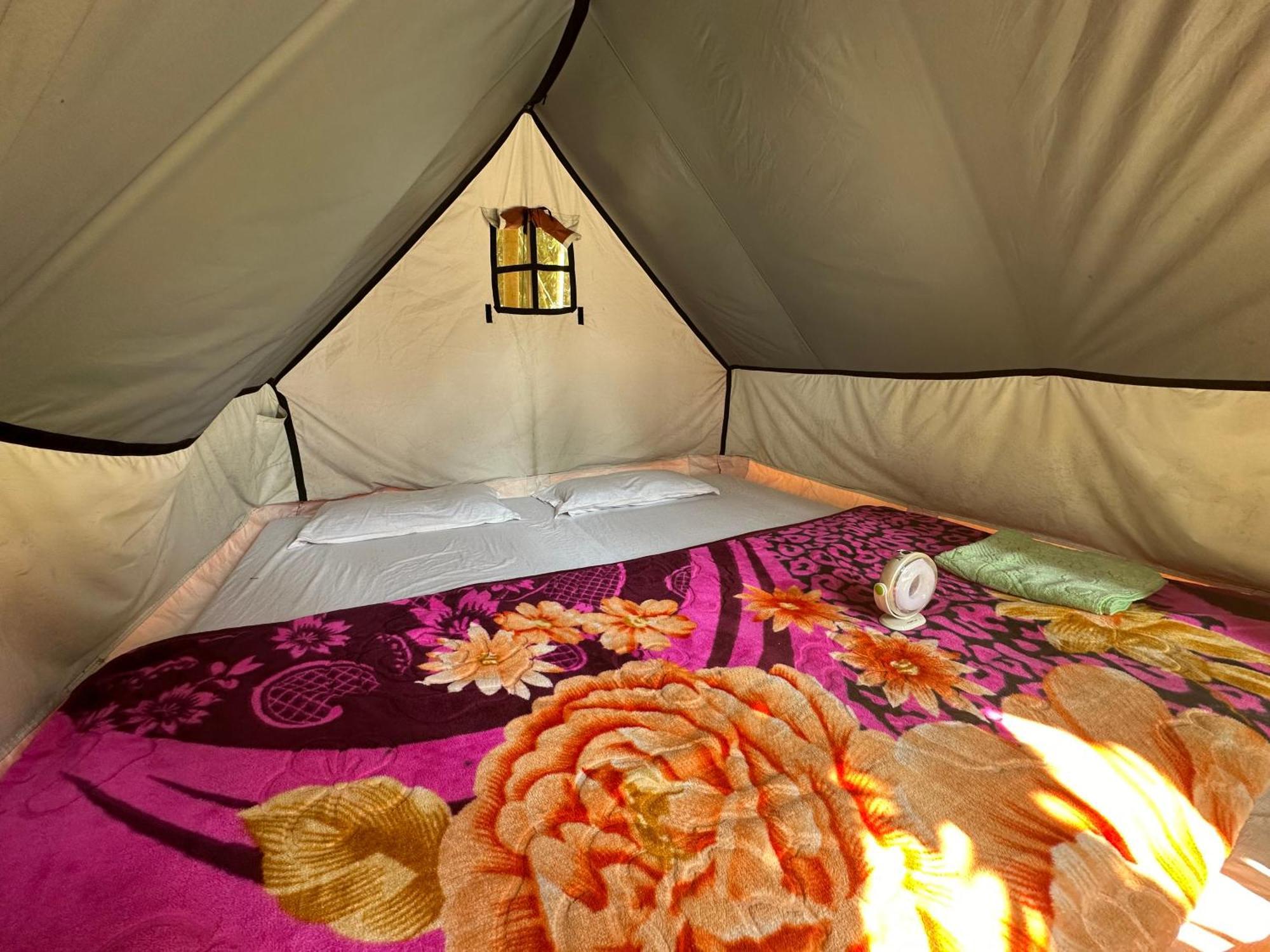 Hollong Eco Camp Campsite *