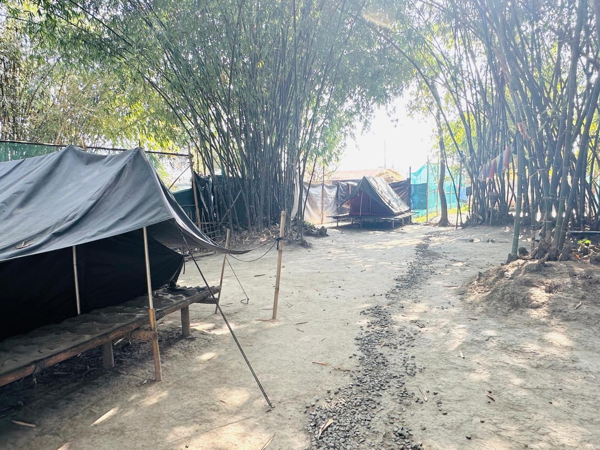 Hollong Eco Camp Campsite Kaziranga
