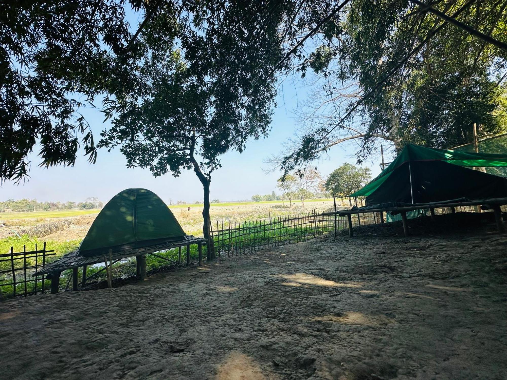 Hollong Eco Camp Campsite