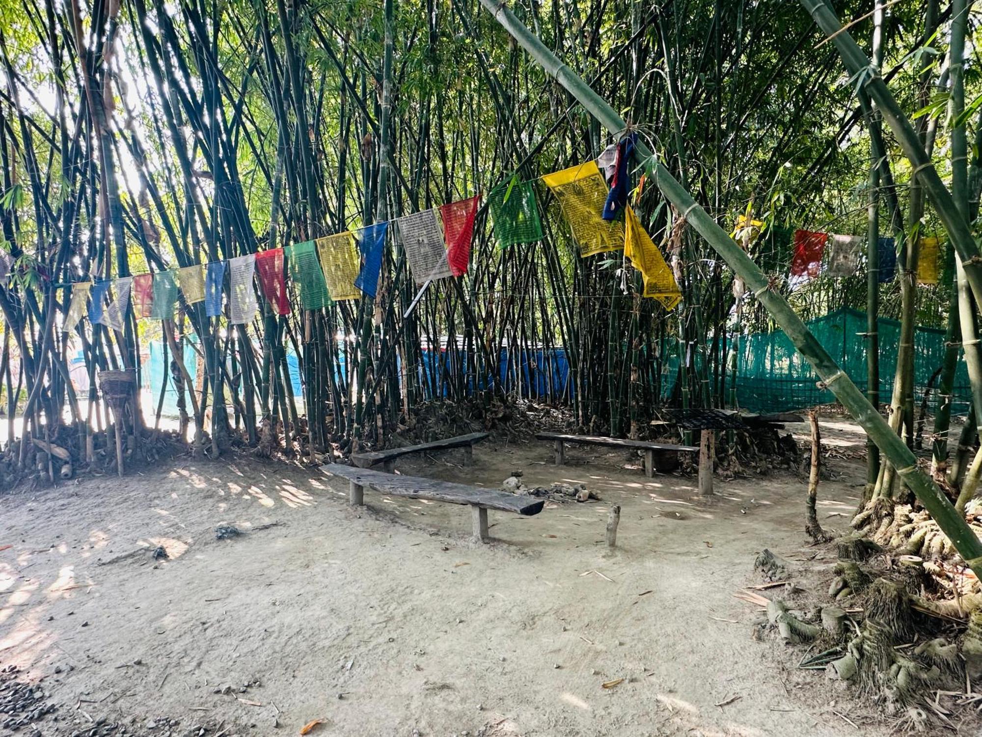 Campsite Hollong Eco Camp Kaziranga